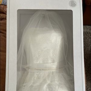 Wedding Dress and Veil